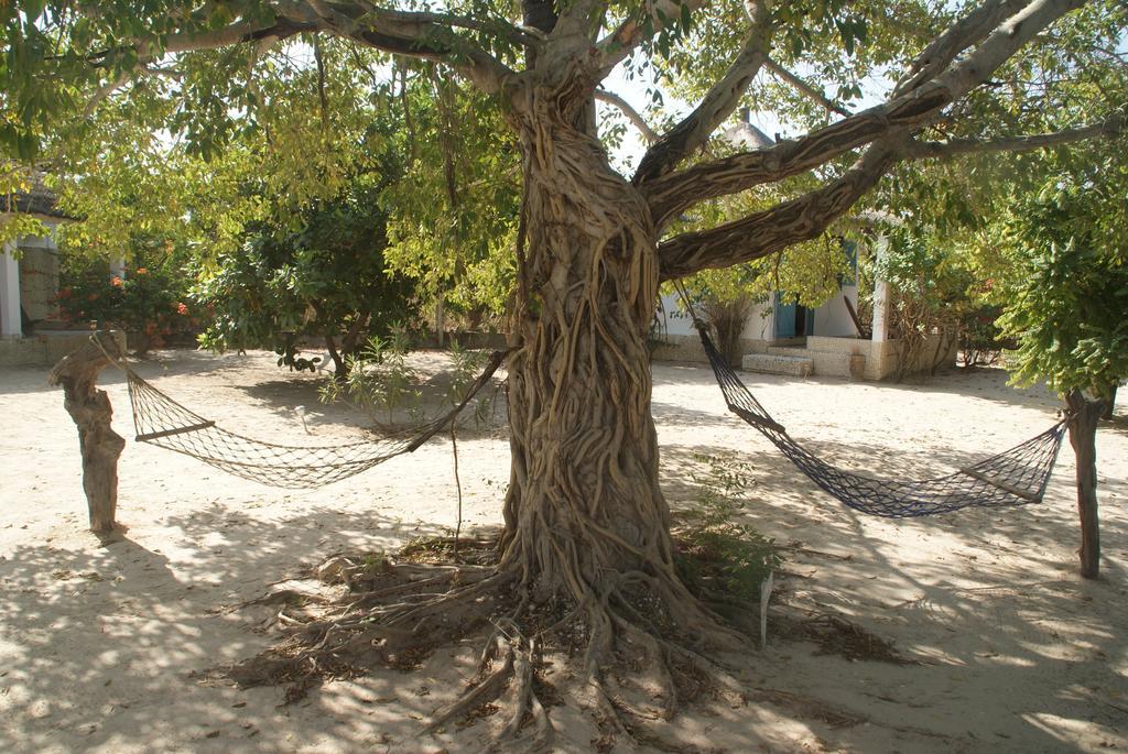 Bazouk Du Saloum Ecolodge Mar Lodj Phòng bức ảnh
