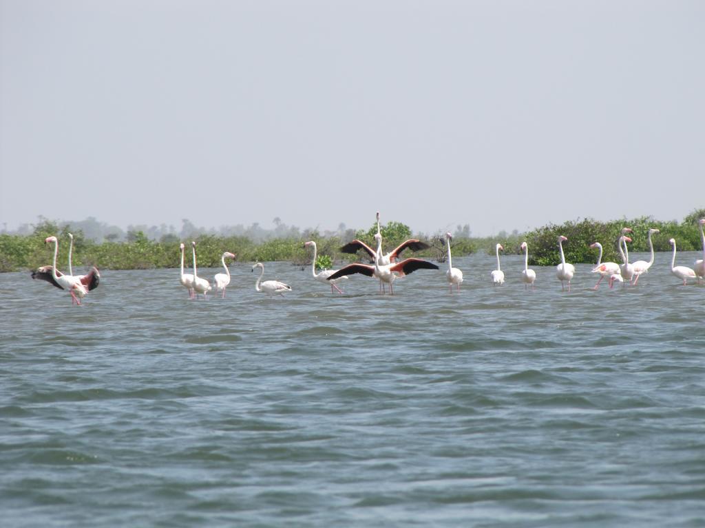 Bazouk Du Saloum Ecolodge Mar Lodj Ngoại thất bức ảnh